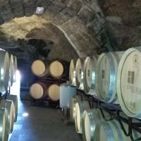 Visita a bodegas en Arribes del Duero
