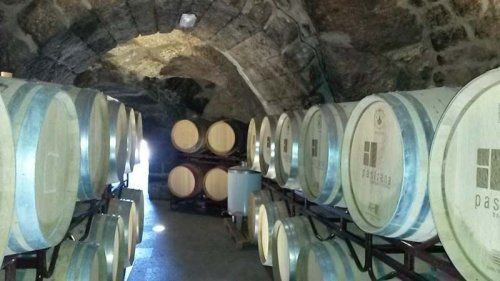 Escapada de Enoturismo en Zamora | Bodegas Pastrana