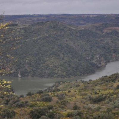 Arribes del Duero