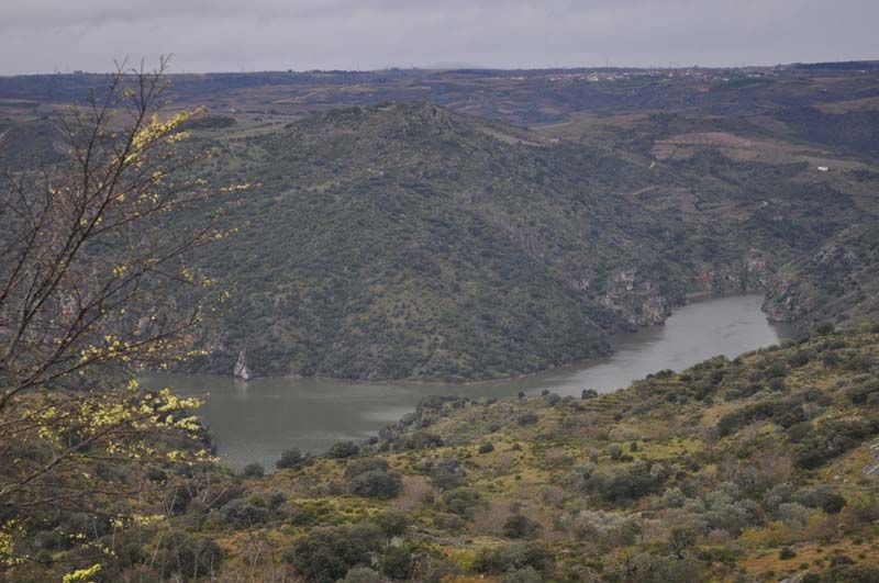 Arribes del Duero